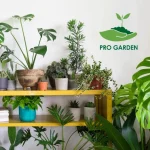 کود آهن پروگاردن