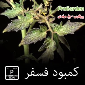 کود مایع 20+20+20 + TE پروگاردن