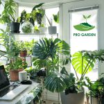 خرید کود آهن