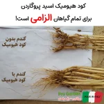 خرید کود هیومیک اسید پودری